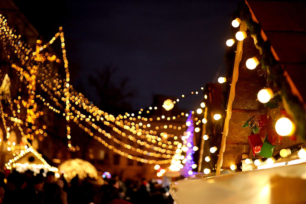 Rotary Lights - All Abilities Night 